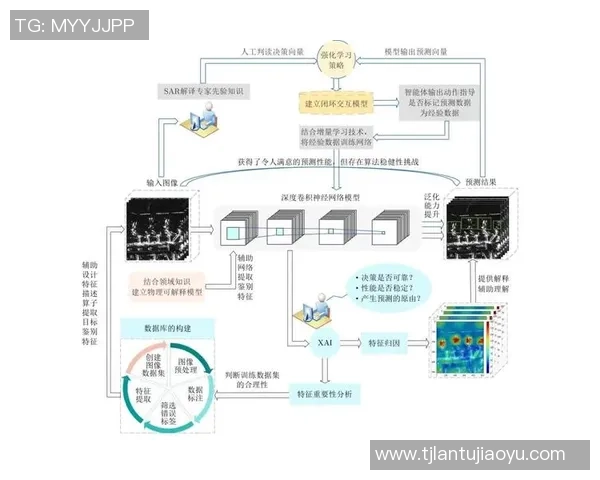 成都篮球队灵活性分析与战术调整的深度探讨与展望