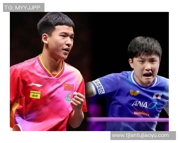 武汉乒乓球队总决赛精彩表现分析速度与技巧的完美结合