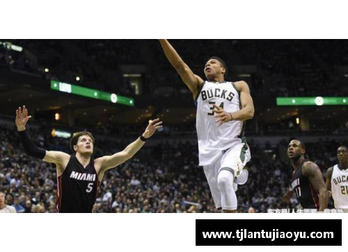 网易NBA：深度解析球队阵容与球员动态，专家观点与赛事精彩回顾
