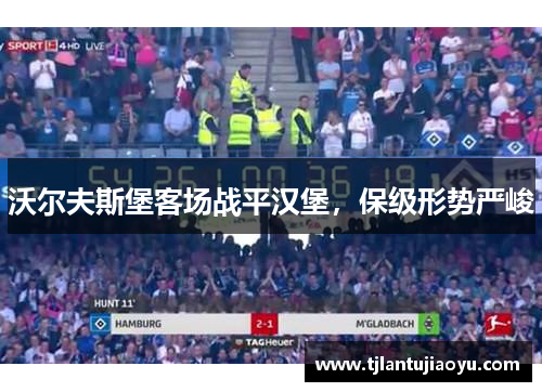 沃尔夫斯堡客场战平汉堡，保级形势严峻